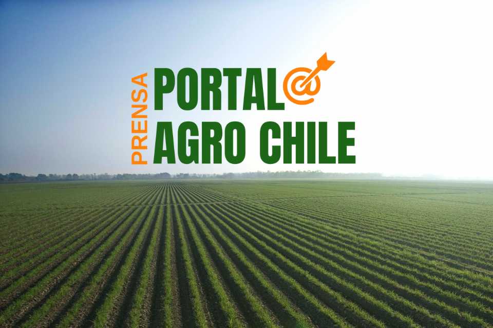 Noticias políticas y entorno portal agro chile