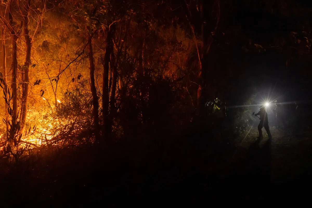 Por qué los incendios forestales en chile se propagan más