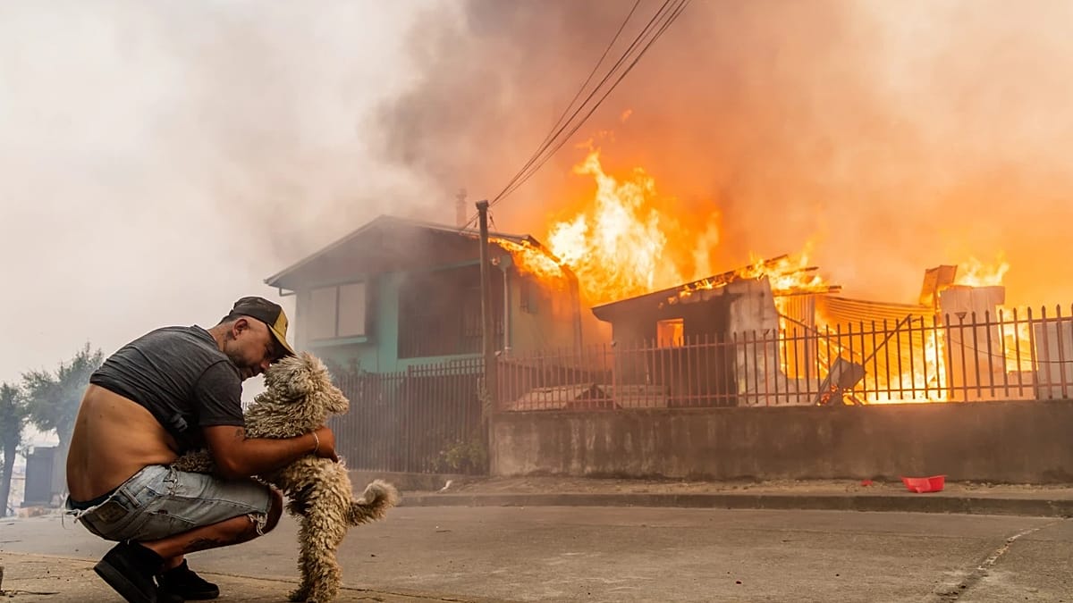 Varios incendios forestales en el sur de chile dejan 16