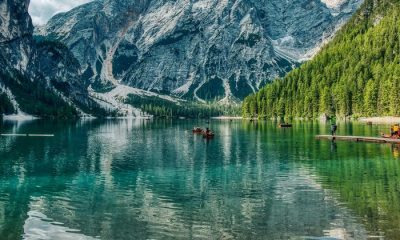 Protección de la naturaleza, incendios en chile, gaza… las noticias